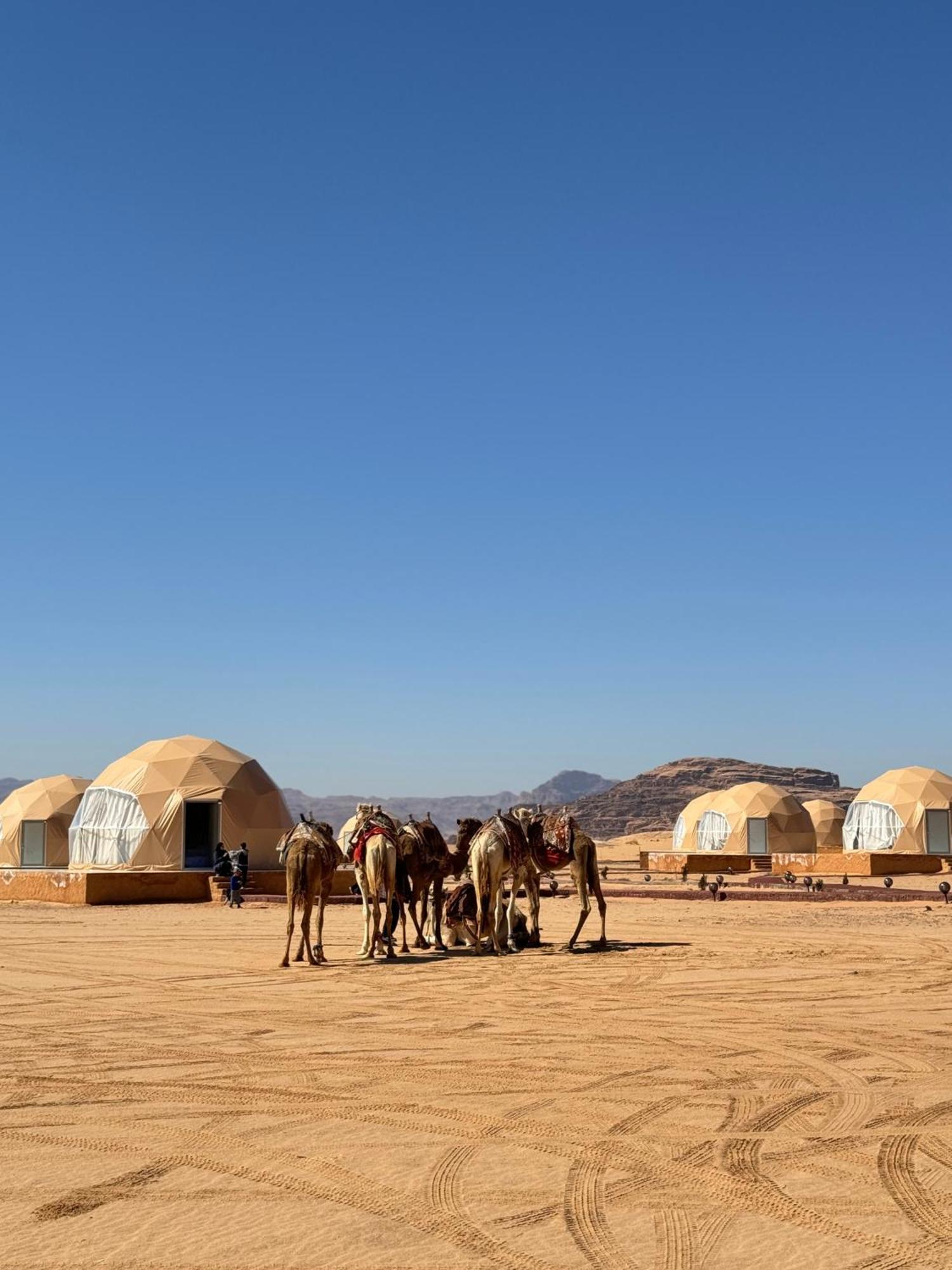 Wadi Rum Anwar Luxury Camp מראה חיצוני תמונה